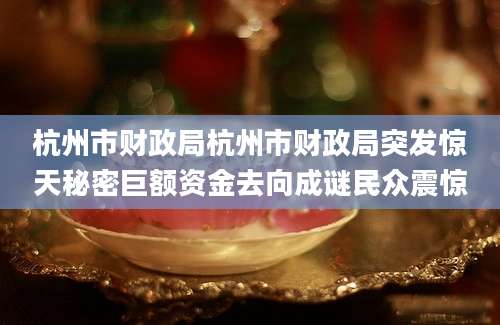 杭州市财政局杭州市财政局突发惊天秘密巨额资金去向成谜民众震惊