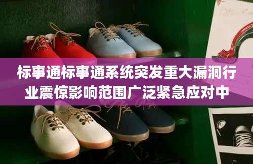 标事通标事通系统突发重大漏洞行业震惊影响范围广泛紧急应对中