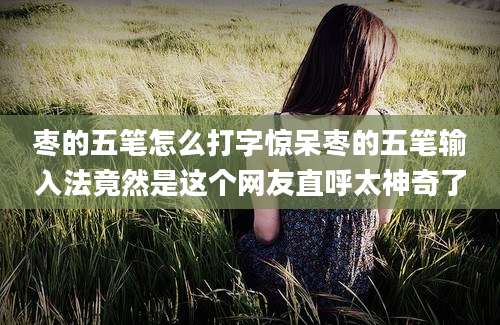 枣的五笔怎么打字惊呆枣的五笔输入法竟然是这个网友直呼太神奇了