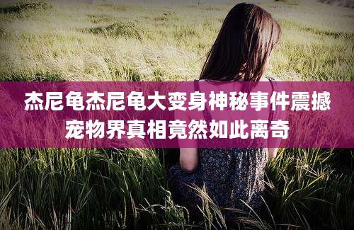 杰尼龟杰尼龟大变身神秘事件震撼宠物界真相竟然如此离奇