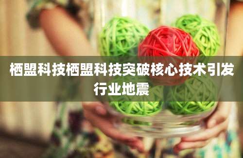栖盟科技栖盟科技突破核心技术引发行业地震