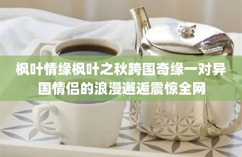 枫叶情缘枫叶之秋跨国奇缘一对异国情侣的浪漫邂逅震惊全网
