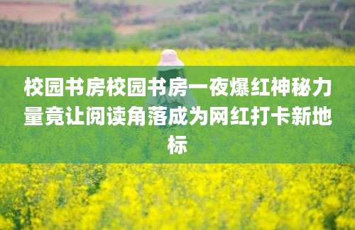 校园书房校园书房一夜爆红神秘力量竟让阅读角落成为网红打卡新地标