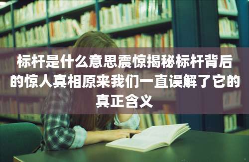 标杆是什么意思震惊揭秘标杆背后的惊人真相原来我们一直误解了它的真正含义