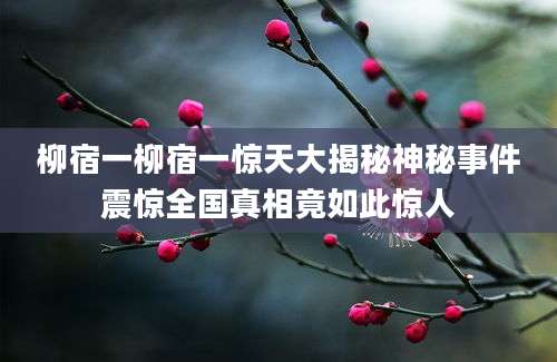 柳宿一柳宿一惊天大揭秘神秘事件震惊全国真相竟如此惊人