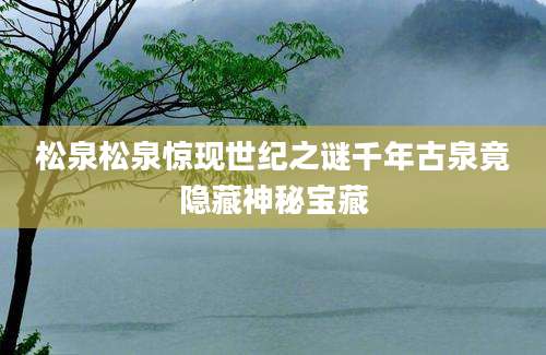 松泉松泉惊现世纪之谜千年古泉竟隐藏神秘宝藏