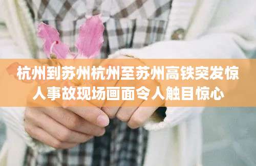 杭州到苏州杭州至苏州高铁突发惊人事故现场画面令人触目惊心