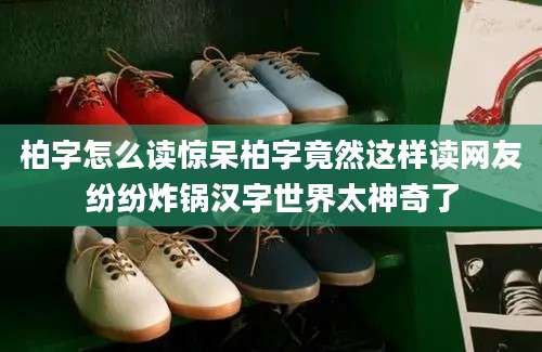 柏字怎么读惊呆柏字竟然这样读网友纷纷炸锅汉字世界太神奇了