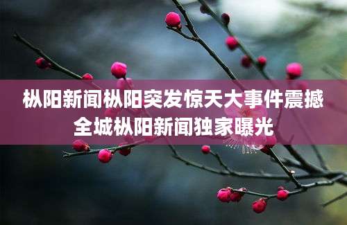 枞阳新闻枞阳突发惊天大事件震撼全城枞阳新闻独家曝光