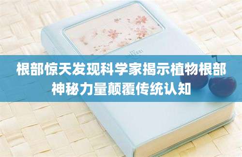 根部惊天发现科学家揭示植物根部神秘力量颠覆传统认知