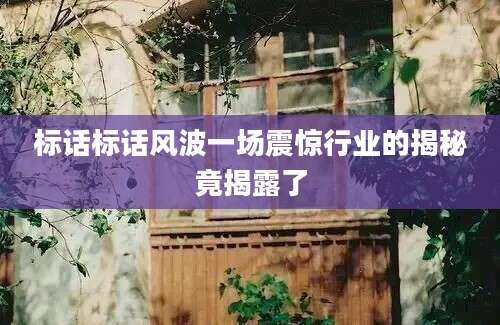 标话标话风波一场震惊行业的揭秘竟揭露了