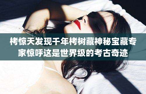 栲惊天发现千年栲树藏神秘宝藏专家惊呼这是世界级的考古奇迹