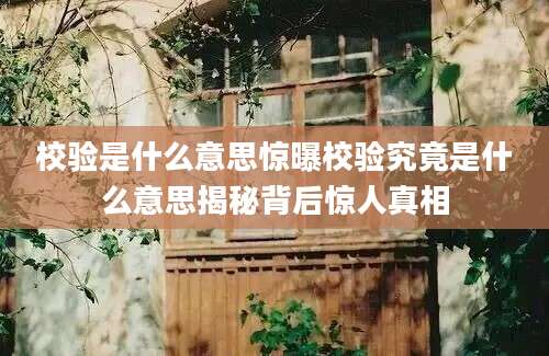 校验是什么意思惊曝校验究竟是什么意思揭秘背后惊人真相