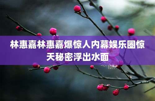 林惠嘉林惠嘉爆惊人内幕娱乐圈惊天秘密浮出水面