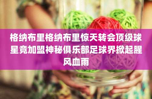 格纳布里格纳布里惊天转会顶级球星竟加盟神秘俱乐部足球界掀起腥风血雨