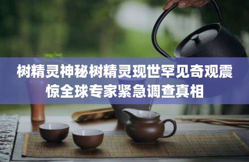 树精灵神秘树精灵现世罕见奇观震惊全球专家紧急调查真相