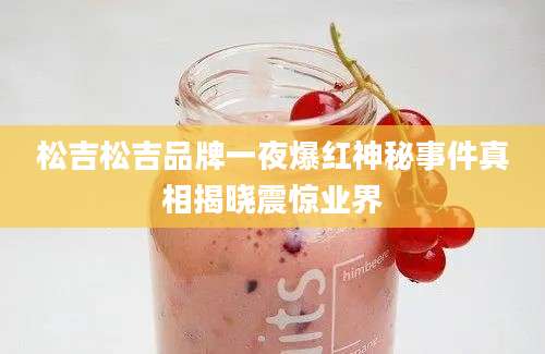 松吉松吉品牌一夜爆红神秘事件真相揭晓震惊业界