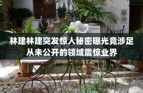 林建林建突发惊人秘密曝光竟涉足从未公开的领域震惊业界
