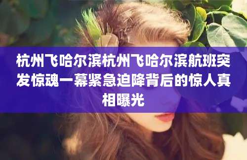 杭州飞哈尔滨杭州飞哈尔滨航班突发惊魂一幕紧急迫降背后的惊人真相曝光