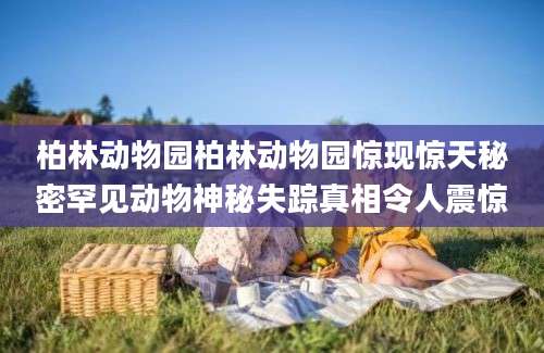 柏林动物园柏林动物园惊现惊天秘密罕见动物神秘失踪真相令人震惊