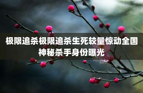 极限追杀极限追杀生死较量惊动全国神秘杀手身份曝光