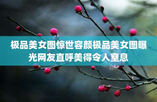 极品美女图惊世容颜极品美女图曝光网友直呼美得令人窒息