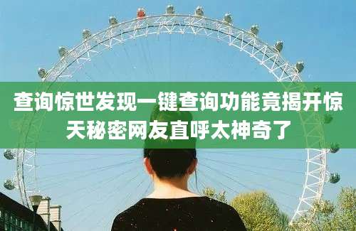 查询惊世发现一键查询功能竟揭开惊天秘密网友直呼太神奇了