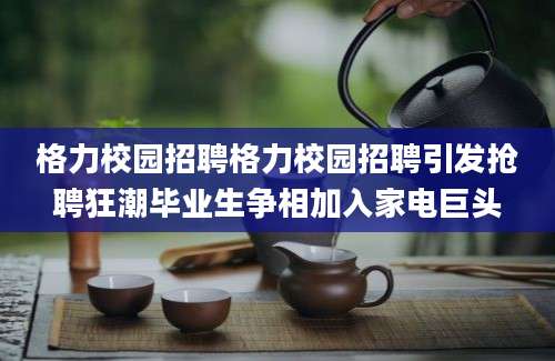 格力校园招聘格力校园招聘引发抢聘狂潮毕业生争相加入家电巨头