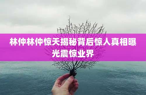 林仲林仲惊天揭秘背后惊人真相曝光震惊业界