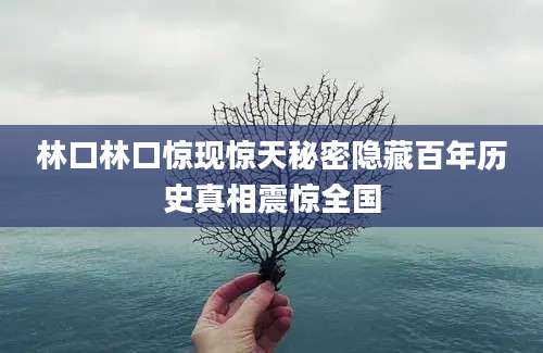 林口林口惊现惊天秘密隐藏百年历史真相震惊全国