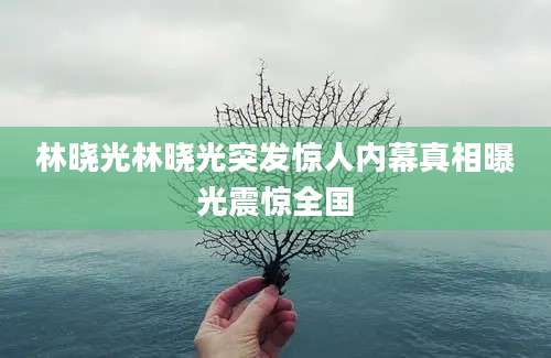 林晓光林晓光突发惊人内幕真相曝光震惊全国