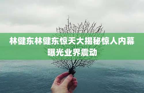 林健东林健东惊天大揭秘惊人内幕曝光业界震动