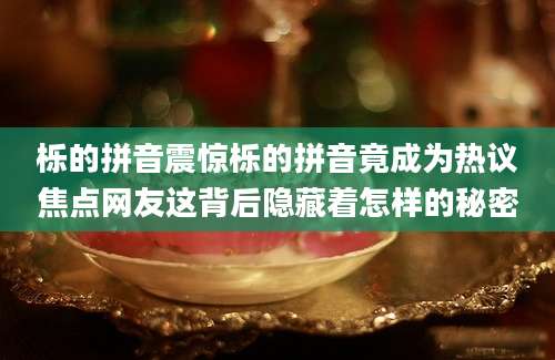 栎的拼音震惊栎的拼音竟成为热议焦点网友这背后隐藏着怎样的秘密