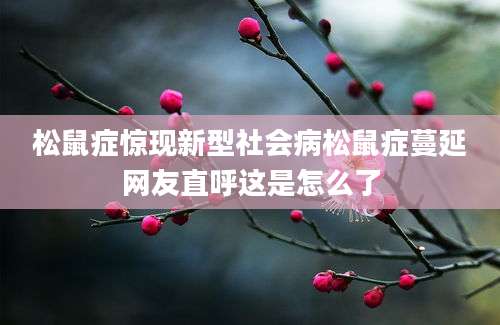 松鼠症惊现新型社会病松鼠症蔓延网友直呼这是怎么了