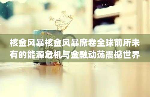 核金风暴核金风暴席卷全球前所未有的能源危机与金融动荡震撼世界