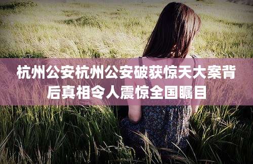 杭州公安杭州公安破获惊天大案背后真相令人震惊全国瞩目