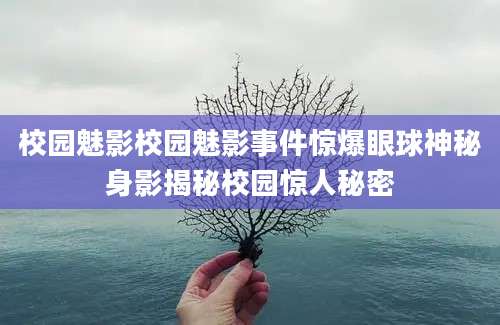 校园魅影校园魅影事件惊爆眼球神秘身影揭秘校园惊人秘密