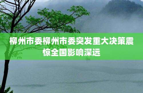 柳州市委柳州市委突发重大决策震惊全国影响深远