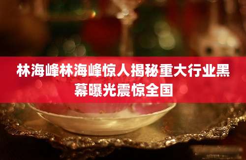 林海峰林海峰惊人揭秘重大行业黑幕曝光震惊全国
