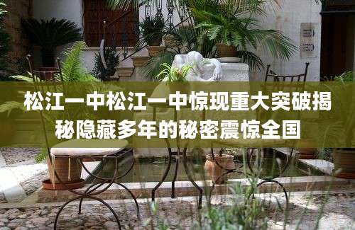 松江一中松江一中惊现重大突破揭秘隐藏多年的秘密震惊全国