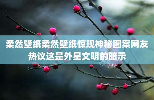 柔然壁纸柔然壁纸惊现神秘图案网友热议这是外星文明的暗示