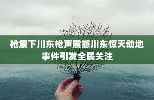 枪震下川东枪声震撼川东惊天动地事件引发全民关注