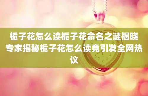 栀子花怎么读栀子花命名之谜揭晓专家揭秘栀子花怎么读竟引发全网热议