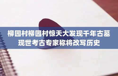 柳园村柳园村惊天大发现千年古墓现世考古专家称将改写历史