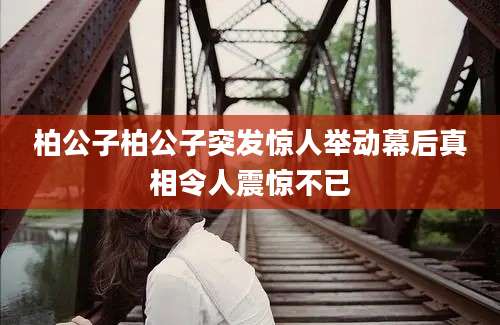 柏公子柏公子突发惊人举动幕后真相令人震惊不已