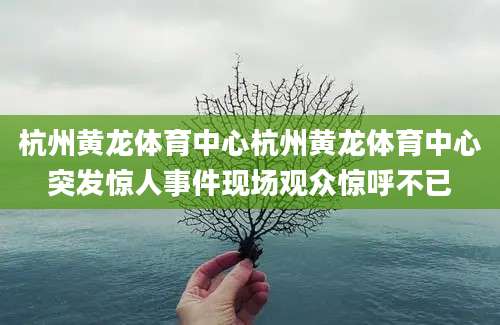 杭州黄龙体育中心杭州黄龙体育中心突发惊人事件现场观众惊呼不已