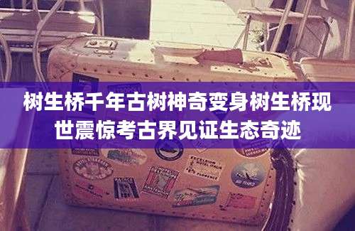 树生桥千年古树神奇变身树生桥现世震惊考古界见证生态奇迹