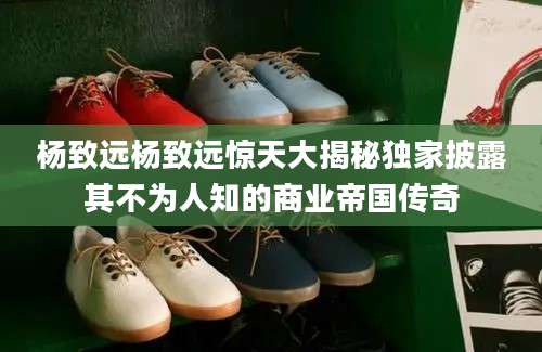 杨致远杨致远惊天大揭秘独家披露其不为人知的商业帝国传奇