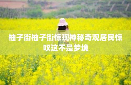 柚子街柚子街惊现神秘奇观居民惊叹这不是梦境