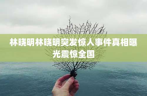 林晓明林晓明突发惊人事件真相曝光震惊全国